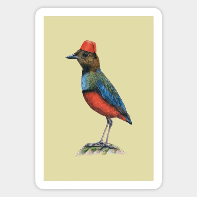 Philippine pitta Sticker by Mikhail Vedernikov